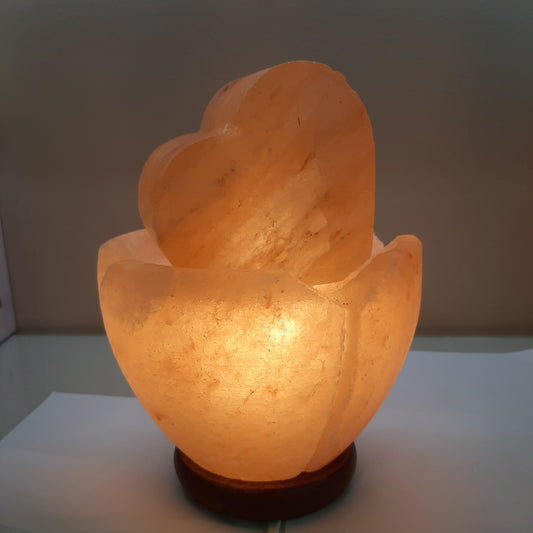Lampada di sale himalayano fatta a mano con base in legno cavo e lampadina inclusi h21cm diametro 16cm Dhanvantari