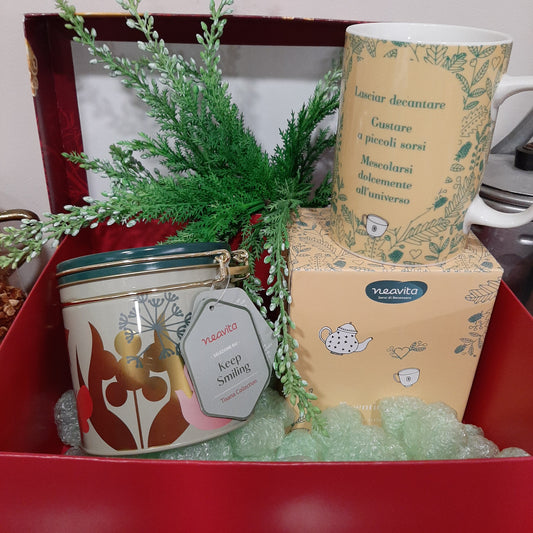 Box with mug and airtight jar with organic herbal tea 15 apple/cinnamon filters, Sicilian citrus fruits, sweet dreams and berries expiry 06/30/2025 Neavita